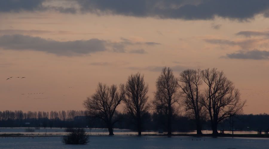 Fotografie