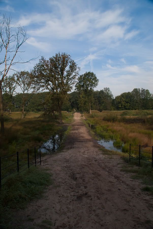 Fotografie