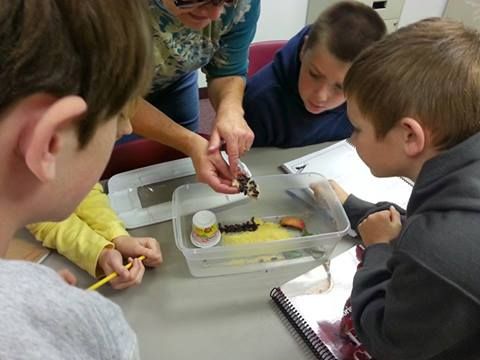 How To Teach Science IN A Homeschool Co-op