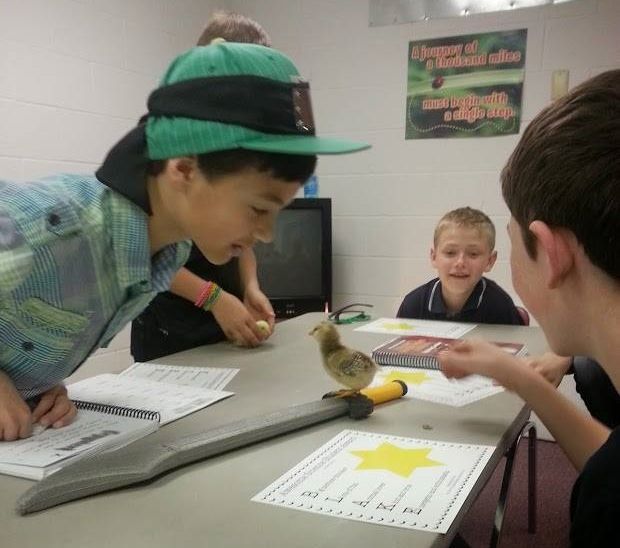Homeschool Co-op - Teaching science in a group setting