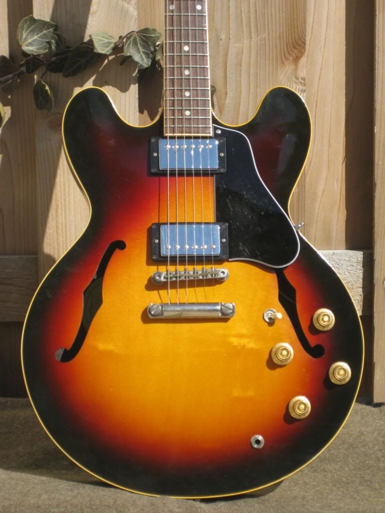 ES-333_zps82d385d9.jpg