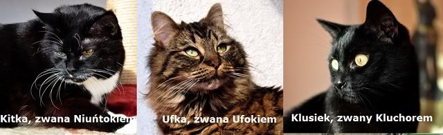 Obrazek