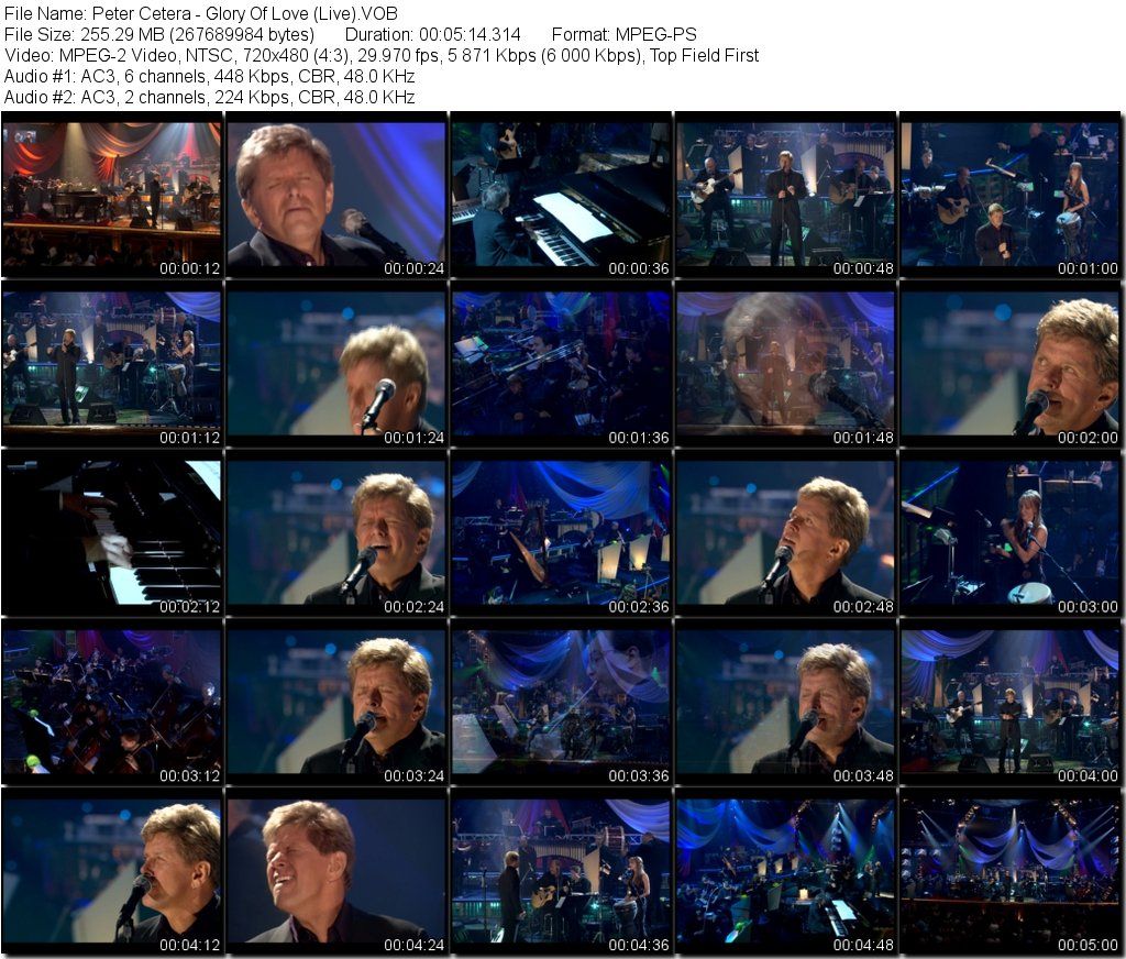 PeterCetera-GloryOfLoveLiveVOB_tn.jpg