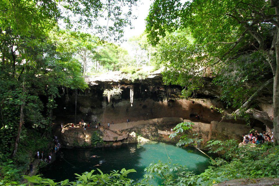 Cenote: Natural sink hole.aka best.swimming pool.ever