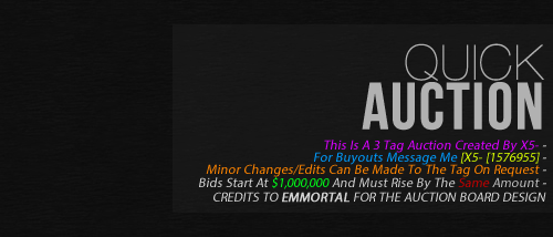 AuctionTop_zpsac2c988c.png
