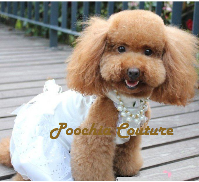 PET WEDDING DRESS for SMALL DOG BRIDESMAID FLOWERGIRL PET FORMAL ...