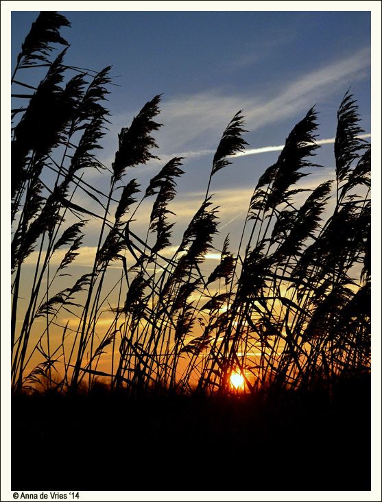 photo DSC_0221kopie_zpsb7c9ccd3.jpg