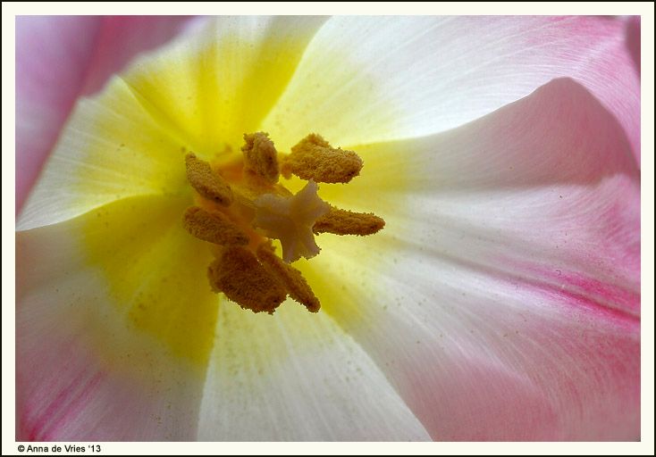 photo IMG_2329_zps7bfb7e19.jpg
