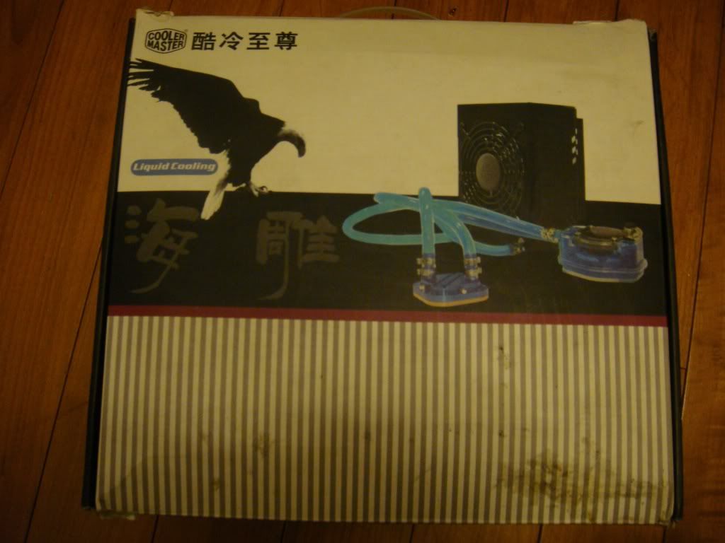 DSC03252.jpg