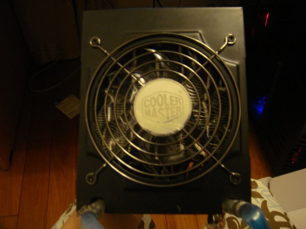 DSC03256.jpg