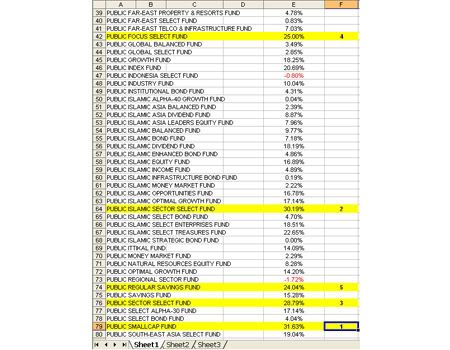 PublicMutualFundPerformance