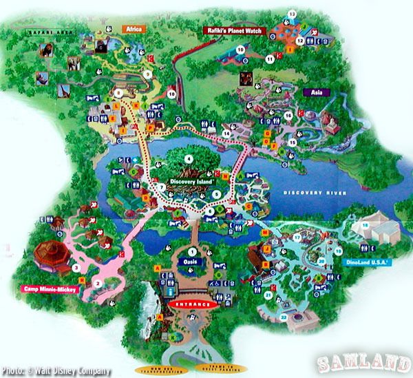 Disney's Animal Kingdom: First Impressions of Avatar Land - MiceChat