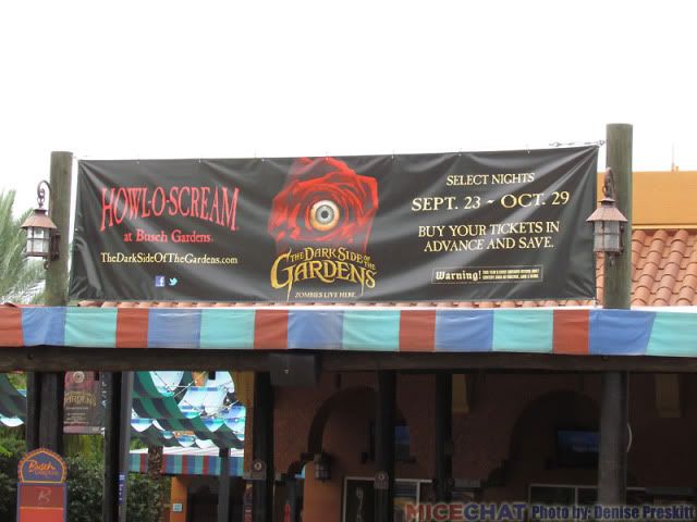 Busch Gardens Tampa Bay Dreamworld S Buzzsaw Ride Fort Desoto