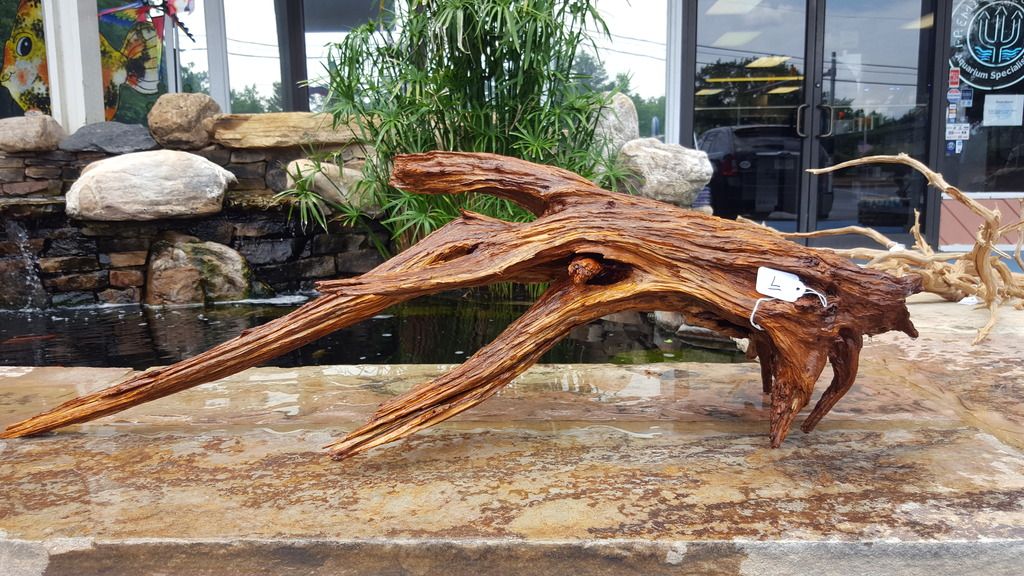 Premier Aquatics - Texas Select Driftwood Now In Stock!!! - The Planted