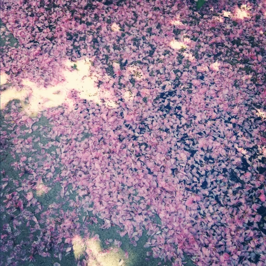 petals