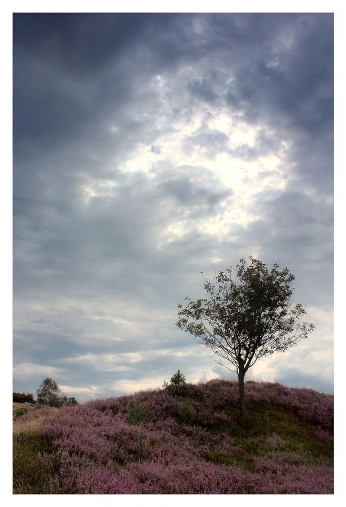 Fotografie