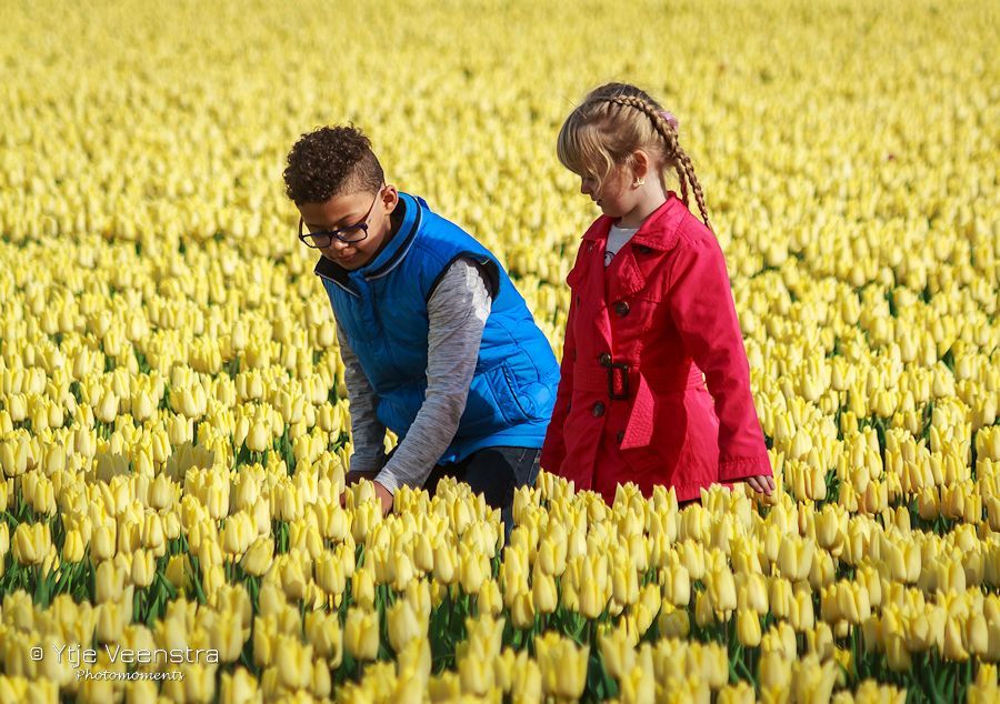 Fotografie