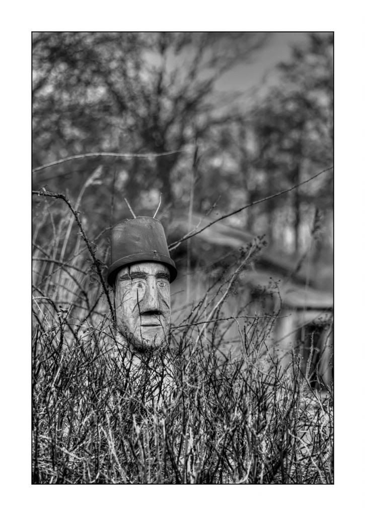 Fotografie
