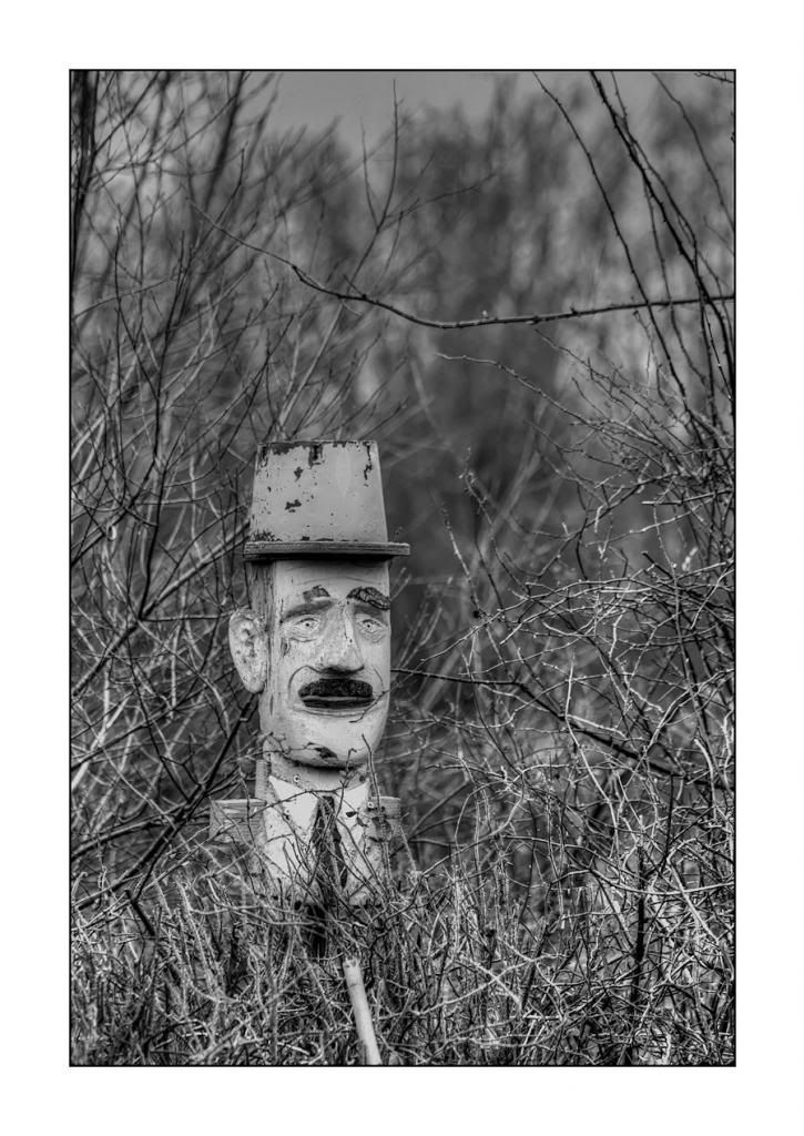 Fotografie