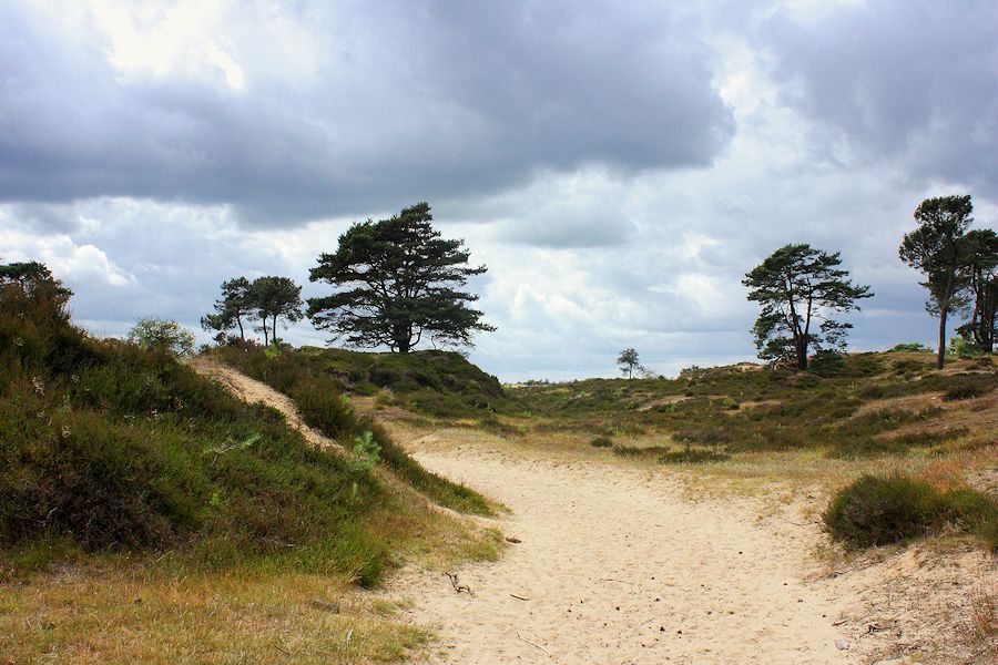 Fotografie