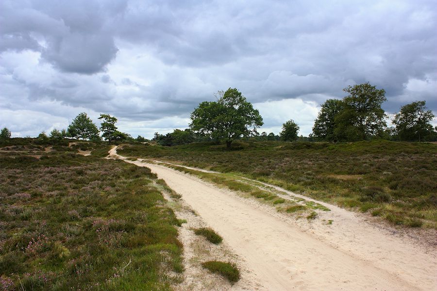 Fotografie