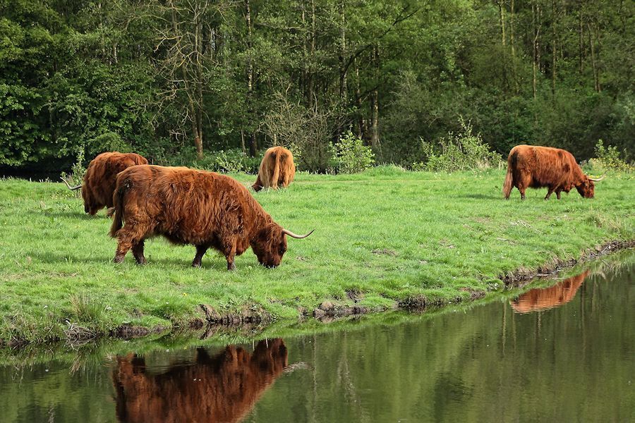 Fotografie