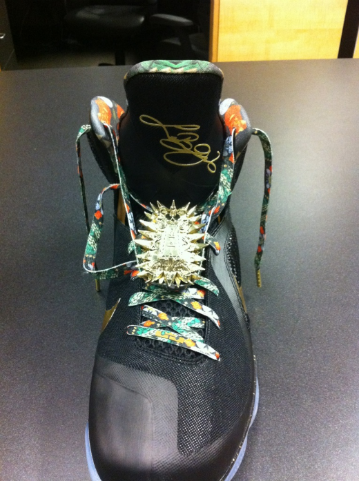 LeBron-9-WTT-011.png