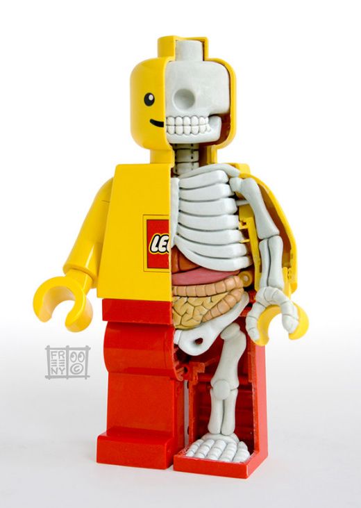 Lego-Mini-Figure-Anatomy-by-Jason-Freeny.jpg 