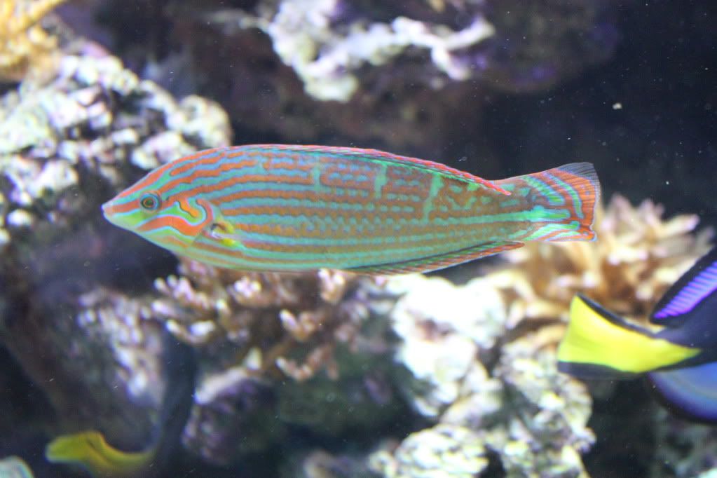 IMG_1589.jpg