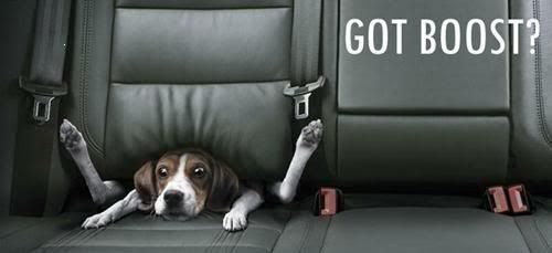  photo GotBoost1.jpg