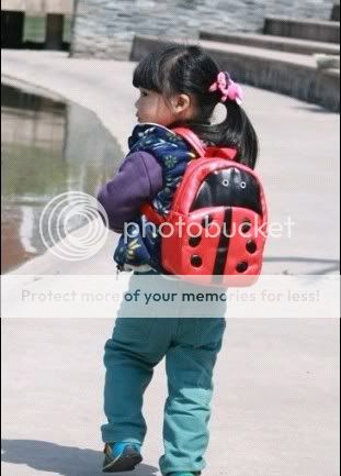 BP10 Labybird Ladybug Child Boys Girls School Backpack Bag
