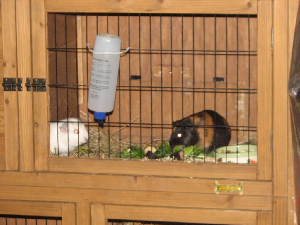 IMG_3084.jpg