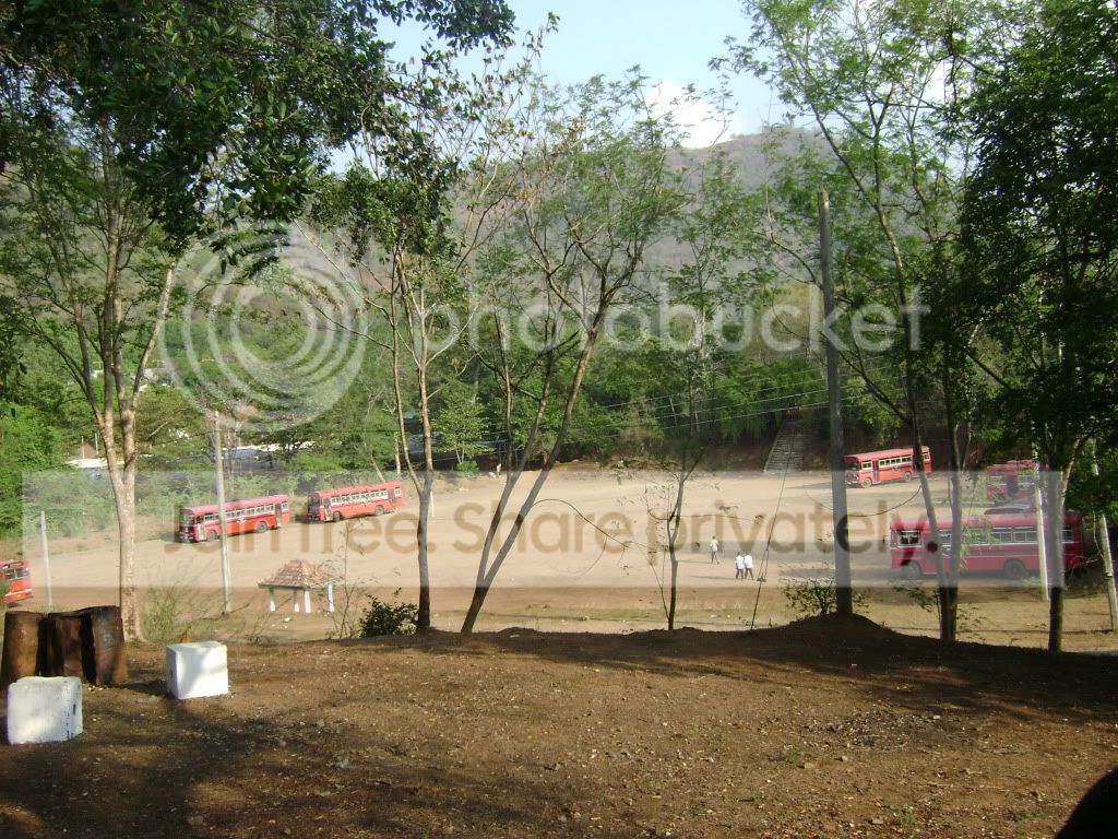 DSC03310.jpg