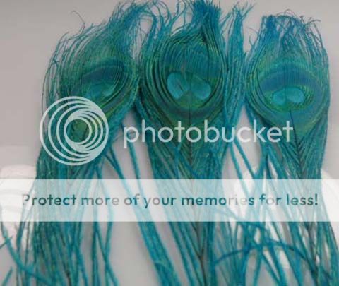 New 10Pcs sky blue Peacock Tail Feathers26 30cm z95  